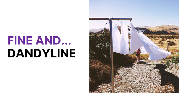 The SwiftDry DandyLine - a kiwi backyard classic